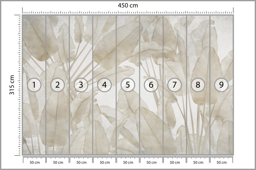 Fototapeta Beżowe Liście Bananowe do Salonu i Sypialni 450x315cm Boho, 6823504