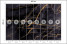 Fototapeta Czarny Marmur do Salonu i Sypialni 400x280cm Glamour, 6823824
