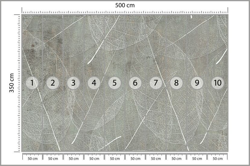 Fototapeta Białe Liście na Betonie do Salonu i Sypialni 500x350cm, 6823932