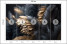 Fototapeta Czarno-złote Pióra do Salonu i Sypialni 250x175cm Glamour, 6823977