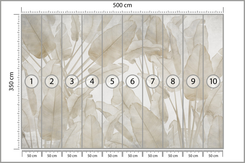 Fototapeta Beżowe Liście Bananowe do Salonu i Sypialni 500x350cm Boho, 6823993