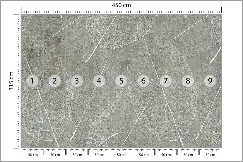 Fototapeta Białe Liście na Betonie do Salonu i Sypialni 450x315cm, 6824092