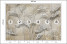 Fototapeta Liście na Beżowym Tle do Salonu i Sypialni 300x210cm, 6824164