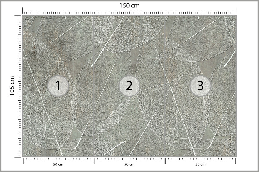 Fototapeta Białe Liście na Betonie do Salonu i Sypialni 150x105cm, 6824380