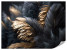 Fototapeta Czarno-złote Pióra do Salonu i Sypialni 500x350cm Glamour, 6824432