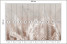 Fototapeta Beżowe Liście Palmowe do Salonu i Sypialni 500x350cm Boho, 6824738