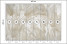 Fototapeta Beżowe Liście Bananowe do Salonu i Sypialni 400x280cm Boho, 6824914
