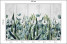 Fototapeta Liście Eukaliptusa na Betonie do Salonu i Sypialni 250x175cm, 6825538