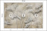 Fototapeta Liście na Beżowym Tle do Salonu i Sypialni 150x105cm, 6825948