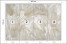 Fototapeta Beżowe Liście Bananowe do Salonu i Sypialni 200x140cm Boho, 6826513