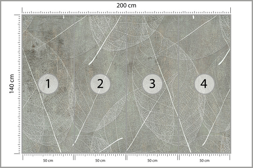 Fototapeta Białe Liście na Betonie do Salonu i Sypialni 200x140cm, 6826661