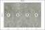 Fototapeta Białe Liście na Betonie do Salonu i Sypialni 200x140cm, 6826661