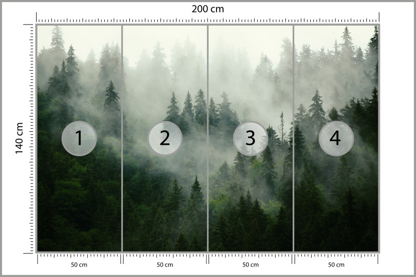 Fototapeta Las we Mgle do Salonu i Sypialni 200x140cm, 6826758