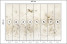 Fototapeta Ptaki i Kwiaty na Łące do Salonu i Sypialni 400x280cm, 6826803