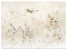 Fototapeta Ptaki i Kwiaty na Łące do Salonu i Sypialni 400x280cm, 6826809