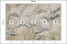 Fototapeta Liście na Beżowym Tle do Salonu i Sypialni 250x175cm, 6827001