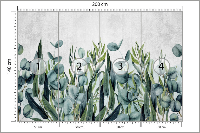 Fototapeta Liście Eukaliptusa na Betonie do Salonu i Sypialni 200x140cm, 6827091