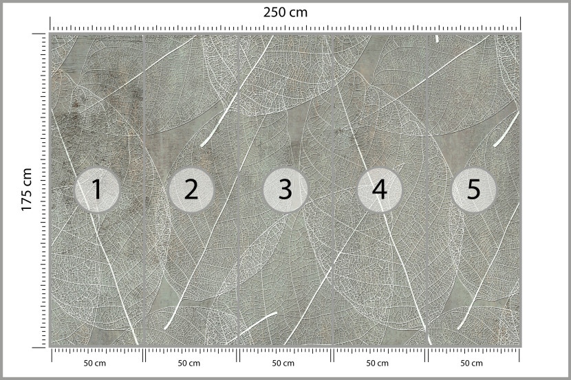 Fototapeta Białe Liście na Betonie do Salonu i Sypialni 250x175cm, 6827341