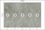 Fototapeta Białe Liście na Betonie do Salonu i Sypialni 250x175cm, 6827341