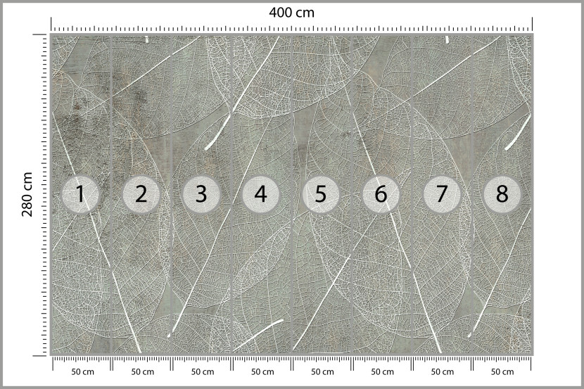 Fototapeta Białe Liście na Betonie do Salonu i Sypialni 400x280cm, 6827350