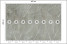 Fototapeta Białe Liście na Betonie do Salonu i Sypialni 400x280cm, 6827350