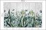 Fototapeta Liście Eukaliptusa na Betonie do Salonu i Sypialni 300x210cm, 6827708