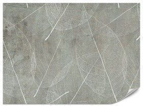 Fototapeta Białe Liście na Betonie do Salonu i Sypialni 100x70cm