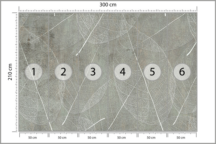 Fototapeta Białe Liście na Betonie do Salonu i Sypialni 300x210cm, 6828068