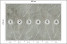 Fototapeta Białe Liście na Betonie do Salonu i Sypialni 300x210cm, 6828068