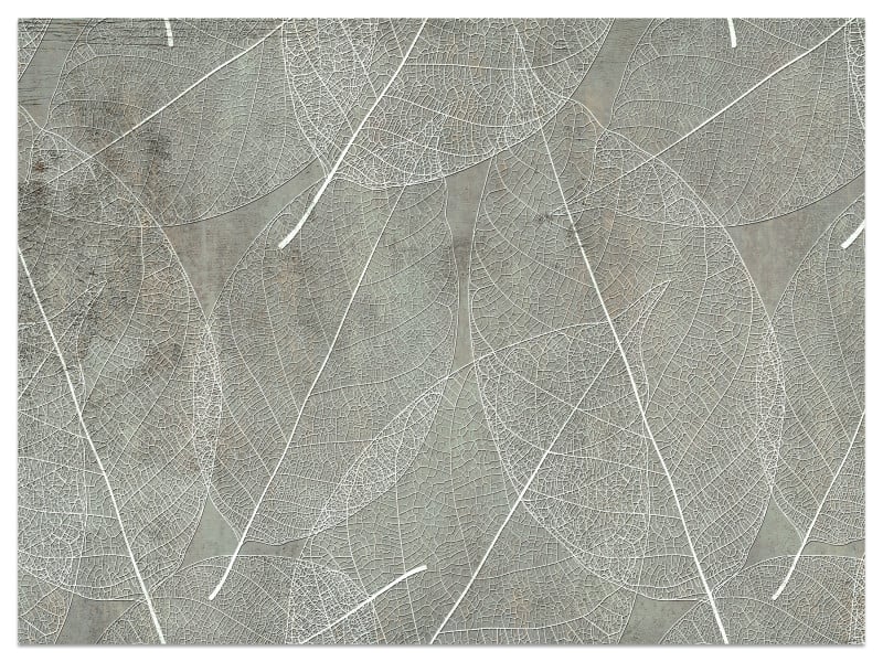 Fototapeta Białe Liście na Betonie do Salonu i Sypialni 300x210cm, 6828074