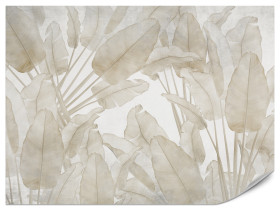 Fototapeta Beżowe Liście Bananowe do Salonu i Sypialni 100x70cm Boho