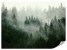 Fototapeta Las we Mgle do Salonu i Sypialni 350x256cm, 6828345