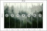 Fototapeta Las we Mgle do Salonu i Sypialni 350x256cm, 6828347