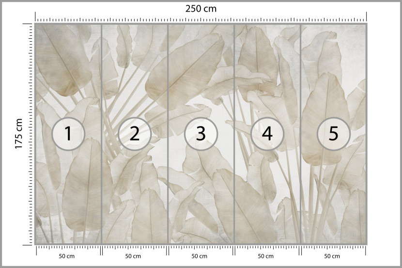 Fototapeta Beżowe Liście Bananowe do Salonu i Sypialni 250x175cm Boho, 6828491