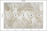 Fototapeta Beżowe Liście Bananowe do Salonu i Sypialni 250x175cm Boho, 6828491