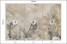 Fototapeta Liście Bananowe na Betonie do Salonu i Sypialni 150x105cm, 6828968