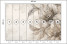 Fototapeta Beżowe Kwiaty do Salonu i Sypialni 400x280cm Boho, 6830131