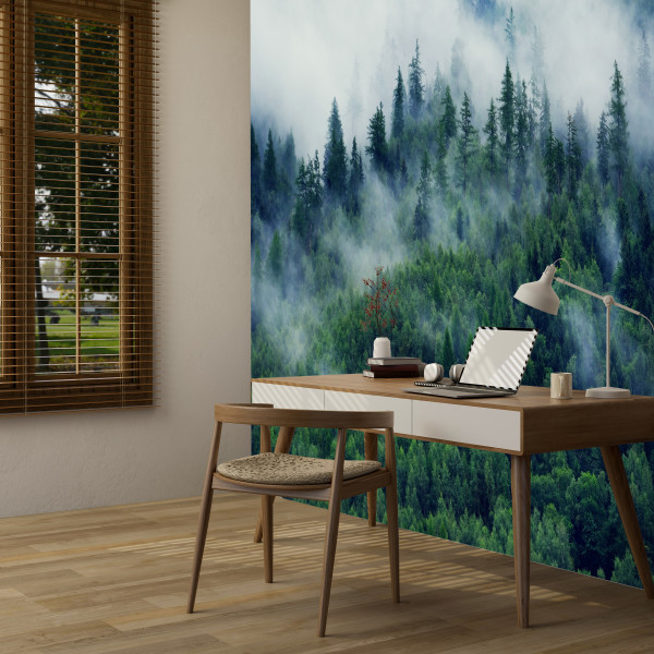Fototapeta Górski Las we Mgle do Salonu i Sypialni 450x315cm, 6831603