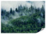 Fototapeta Górski Las we Mgle do Salonu i Sypialni 350x256cm, 6832047
