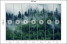 Fototapeta Górski Las we Mgle do Salonu i Sypialni 350x256cm, 6832049