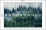 Fototapeta Górski Las we Mgle do Salonu i Sypialni 500x350cm, 6832797