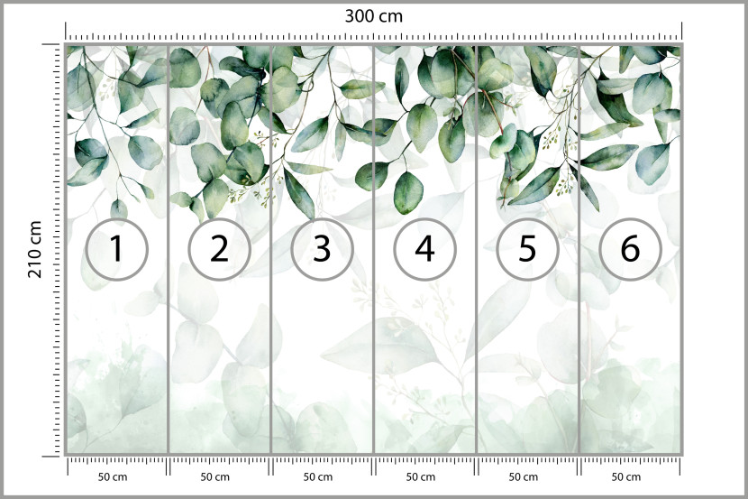 Fototapeta Drobne Liście Eukaliptusa do Salonu i Sypialni 300x210cm, 6832896