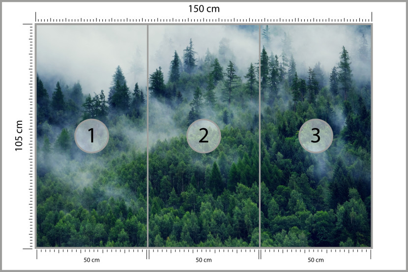 Fototapeta Górski Las we Mgle do Salonu i Sypialni 150x105cm, 6833301
