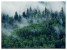 Fototapeta Górski Las we Mgle do Salonu i Sypialni 300x210cm, 6833514