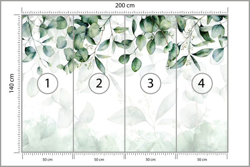 Fototapeta Drobne Liście Eukaliptusa do Salonu i Sypialni 200x140cm, 6833715