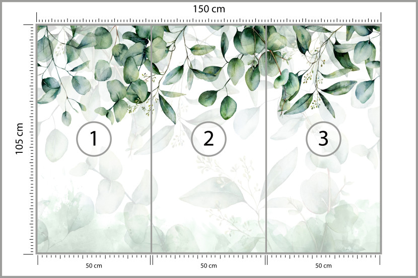 Fototapeta Drobne Liście Eukaliptusa do Salonu i Sypialni 150x105cm, 6833841