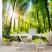 Fototapeta Słońce pomiędzy Drzewami do Salonu i Sypialni 300x210cm, 6867000