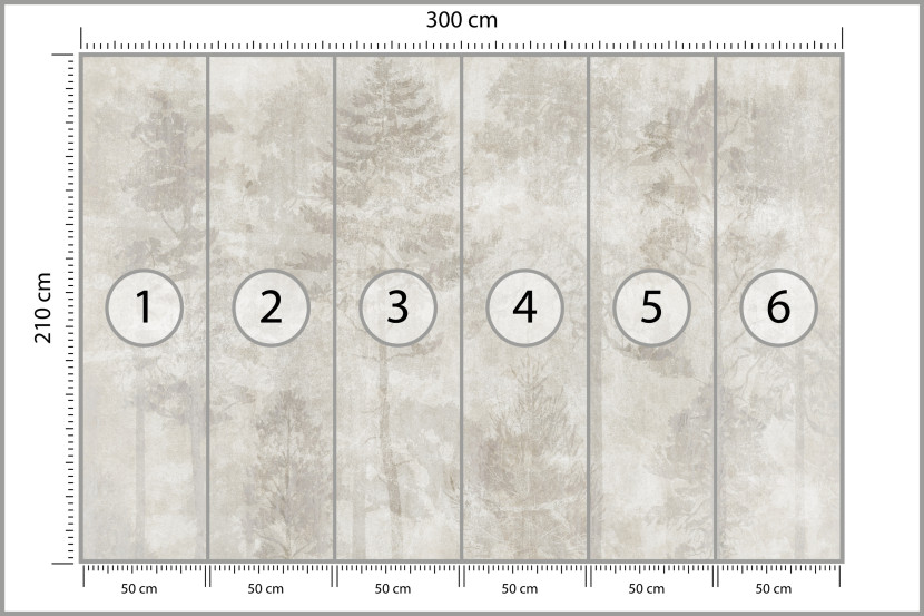 Fototapeta Las we Mgle na Betonie do Salonu i Sypialni 300x210cm, 6867179