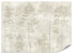 Fototapeta Las we Mgle na Betonie do Salonu i Sypialni 350x256cm, 6867222