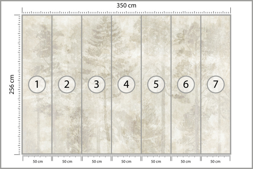 Fototapeta Las we Mgle na Betonie do Salonu i Sypialni 350x256cm, 6867224